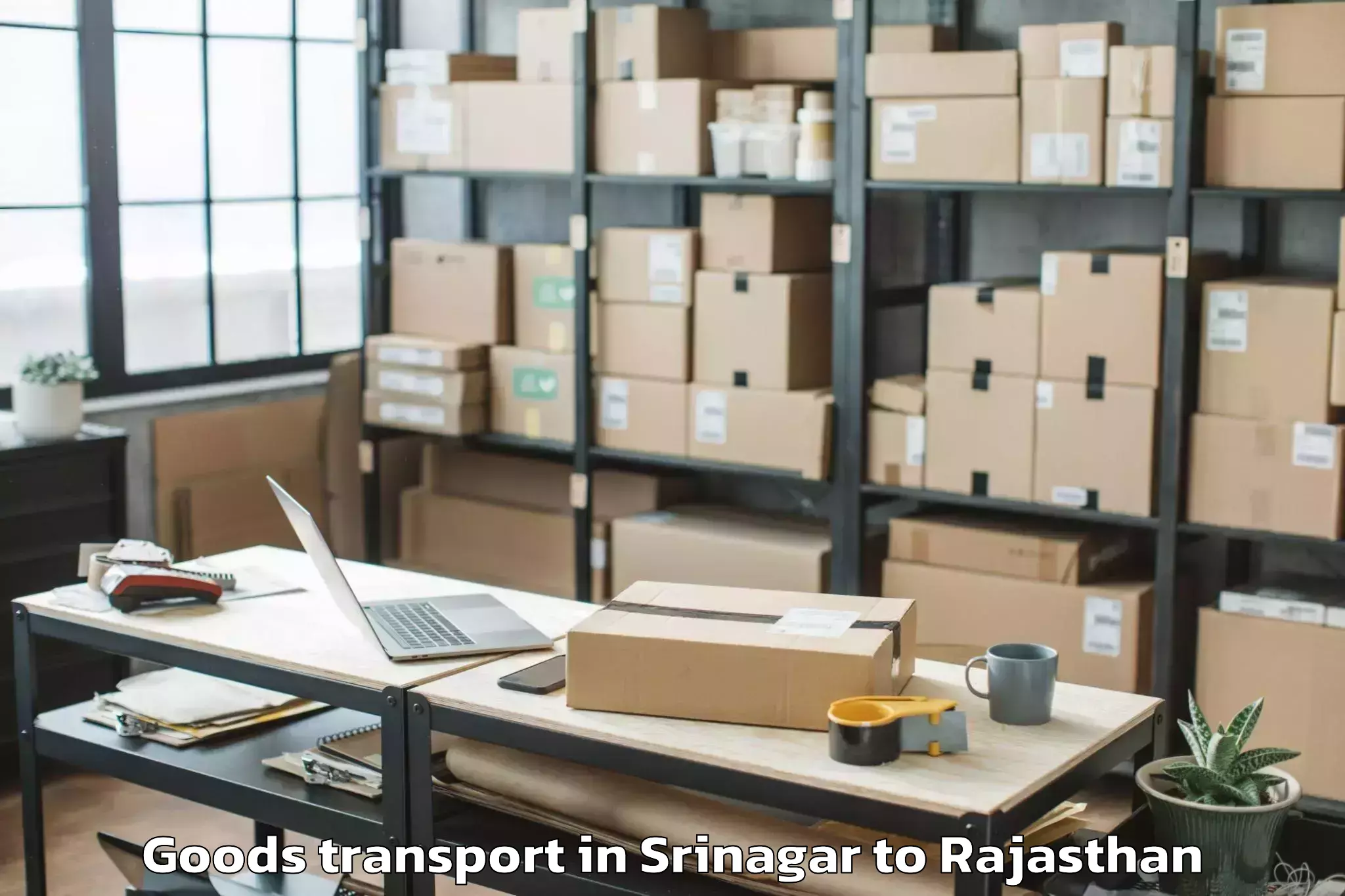 Book Your Srinagar to Udaipur Goods Transport Today